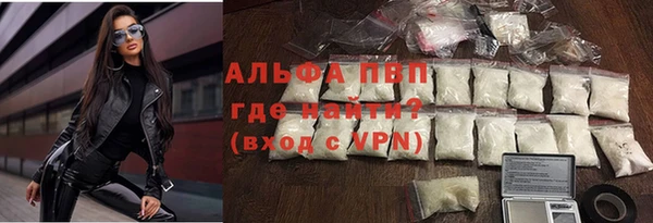 индика Арсеньев