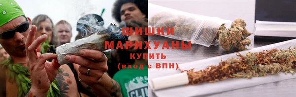 гидра Армянск