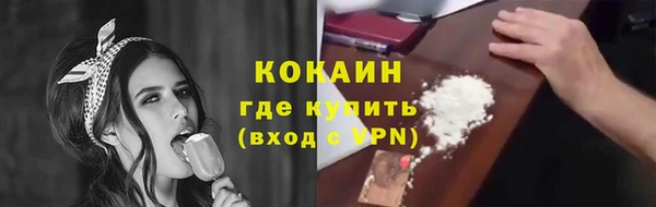 spice Аркадак
