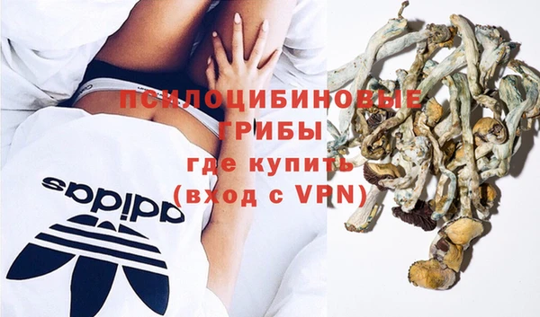 гидра Армянск