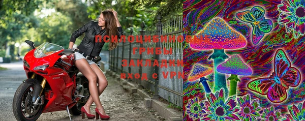 apvp Балахна