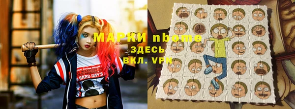 индика Арсеньев