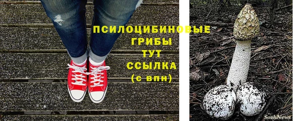 spice Аркадак