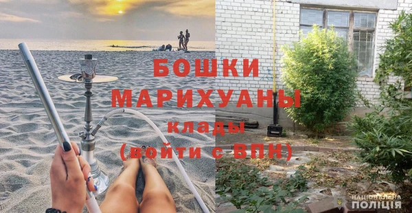 индика Арсеньев