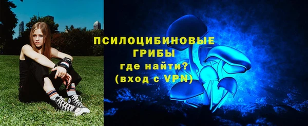 apvp Балахна