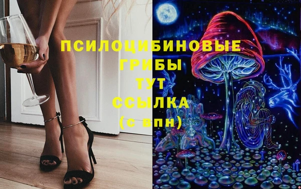 spice Аркадак