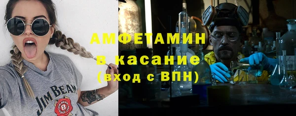 индика Арсеньев