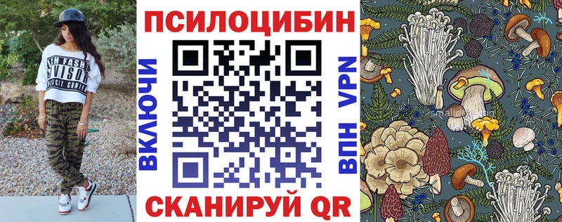 Галлюциногенные грибы MAGIC MUSHROOMS  купить наркоту  Усть-Кут 